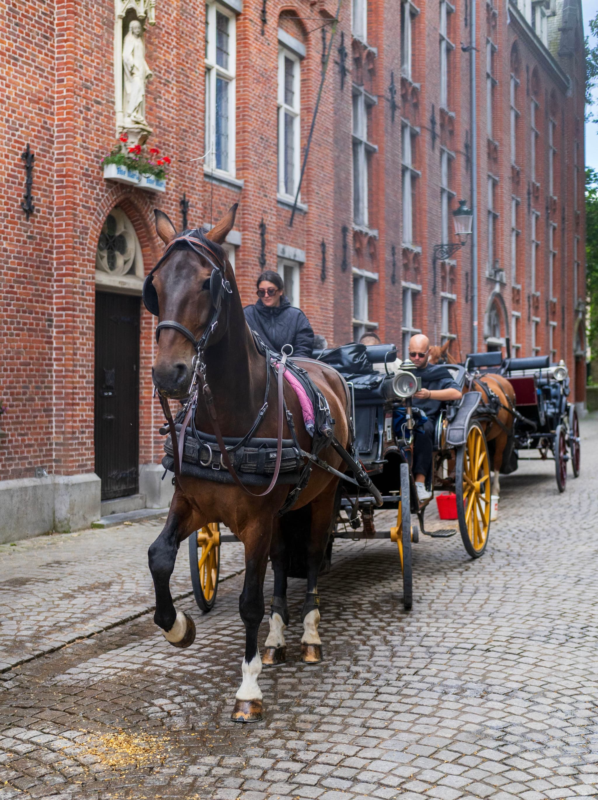 Bruges by horse-drawn carriage