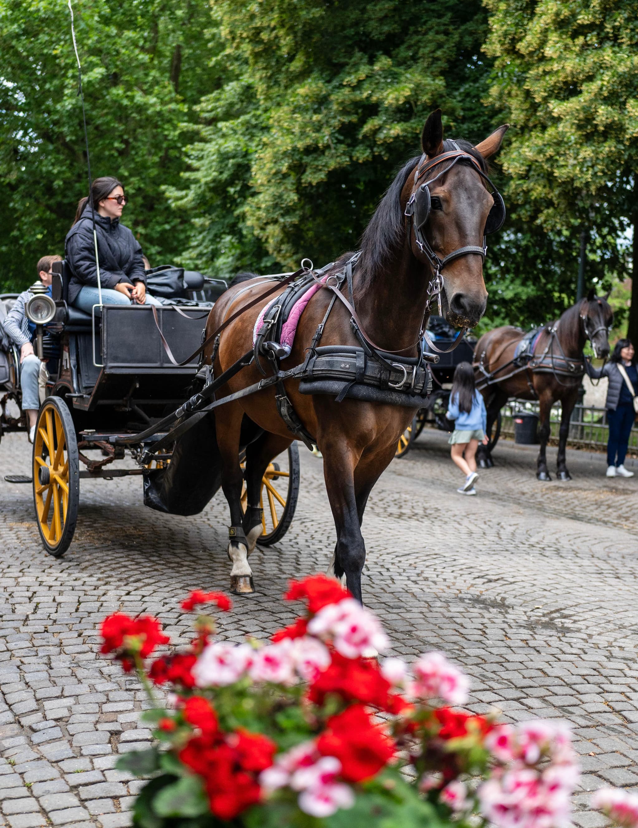 Wagons in Bruges